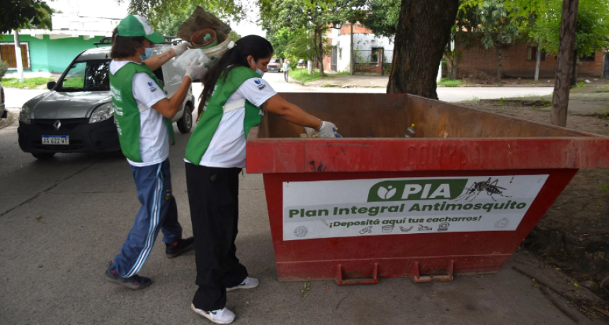Prevenci&oacute;n de chikungunya y dengue: cronograma semanal de operativos ambientales