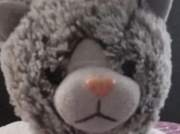Una familia pagó $200 mil para recuperar el peluche de su hijo con autismo