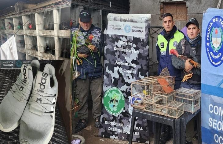 Avanza la investigación de un “escruche”