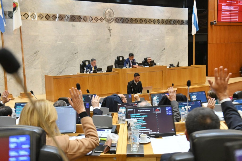 LA LEGISLATURA SANCIONÓ PROYECTOS CLAVE EN SALUD, TECNOLOGÍA Y DESARROLLO PRODUCTIVO