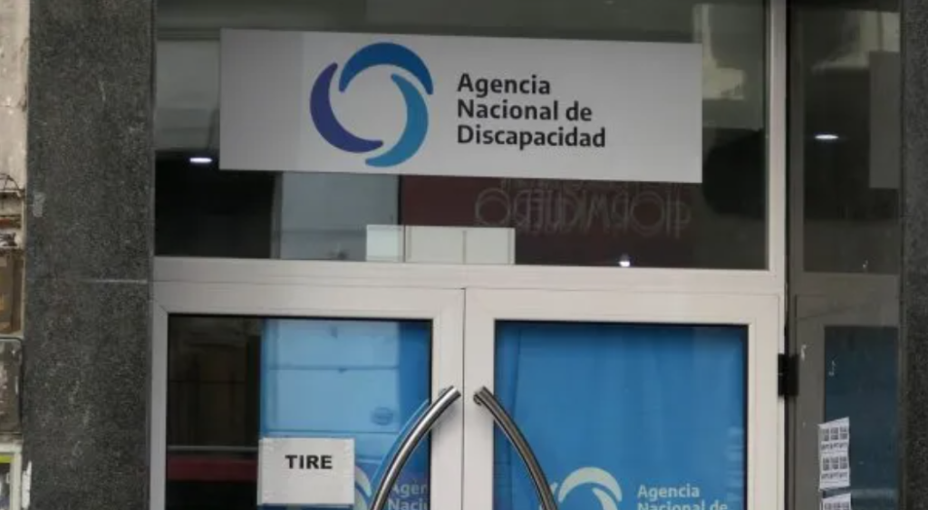 ANDIS: una auditor&iacute;a destap&oacute; millonarios sobreprecios de hasta 4239% 