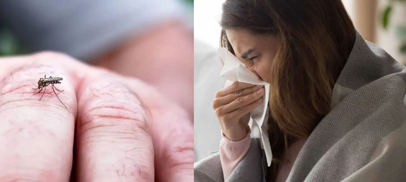 Bajan los casos de Chikungunya pero suben los de gripe H3N2