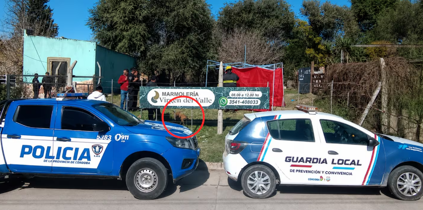 Una nena de 4 a&ntilde;os tras ser atacada por un perro en Cosqu&iacute;n