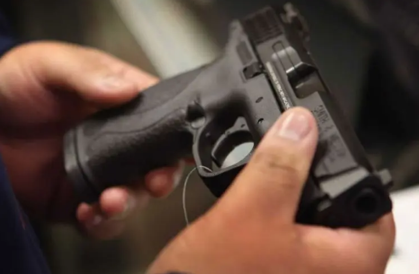El Senado convirti&oacute; en ley la regularizaci&oacute;n de armas y extensi&oacute;n del Programa de Entrega Voluntaria