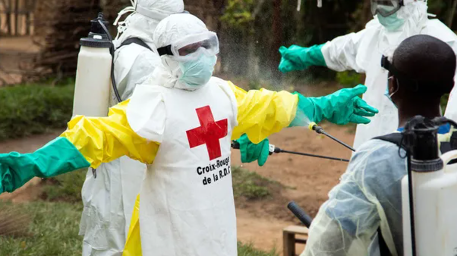 La OMS declar&oacute; la emergencia sanitaria a nivel mundial por brote de &eacute;bola en &Aacute;frica