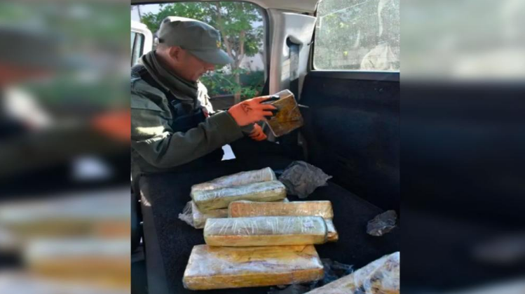 Incautan casi 14 kilos de coca&iacute;na valuada en m&aacute;s de 295 millones de pesos