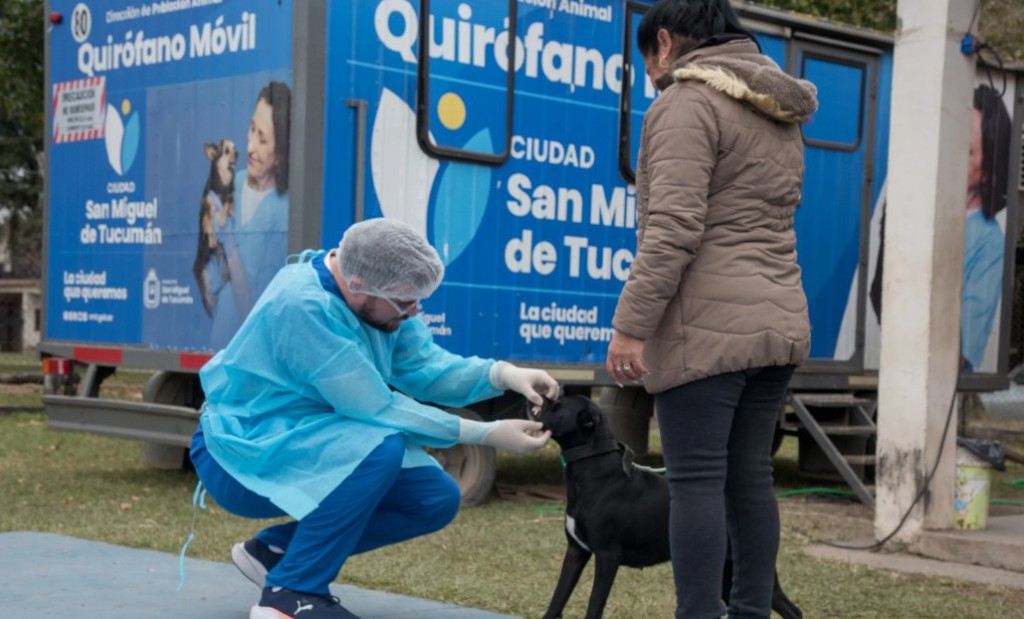 D&oacute;nde se ofrecer&aacute; el servicio de castraci&oacute;n para animales de compa&ntilde;&iacute;a esta semana