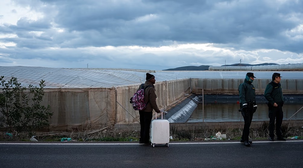 Desmantelan una mafia de tr&aacute;fico migratorio entre Espa&ntilde;a y Argelia