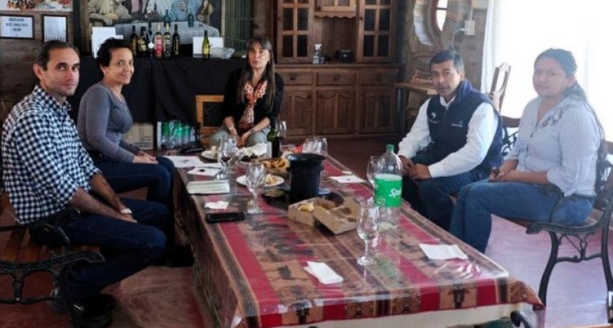 En los Valles fomentan la eficiencia en la producci&oacute;n del cultivo de vid 