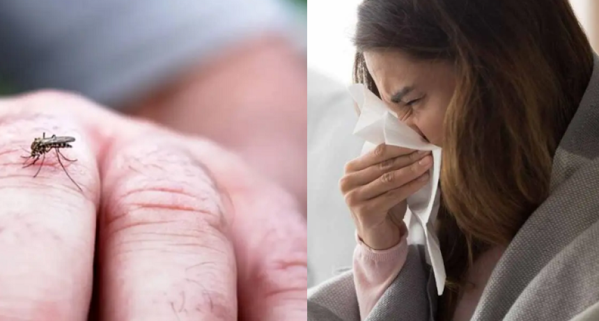 Bajan los casos de Chikungunya pero suben los de gripe H3N2
