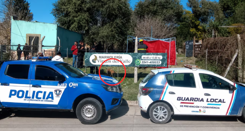 Una nena de 4 a&ntilde;os tras ser atacada por un perro en Cosqu&iacute;n