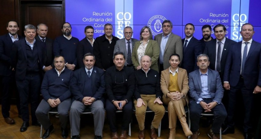 En el COFESA se garantiz&oacute; la provisi&oacute;n de vacunas y medicamentos de alto costo