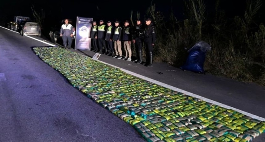 La muerte de una adolescente en la Autopista llev&oacute; al hallazgo de 264 kilos de hojas de coca