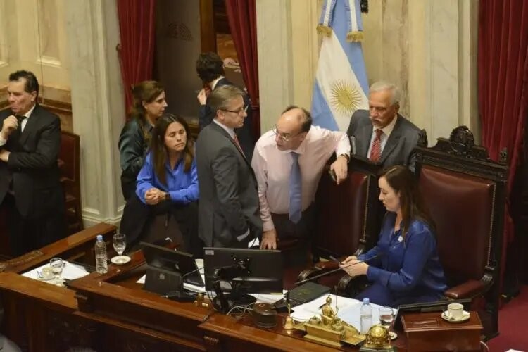 Aprobada la Ley Bases vuelve a Diputados: por qué y qué pasó con las Facultades delegadas