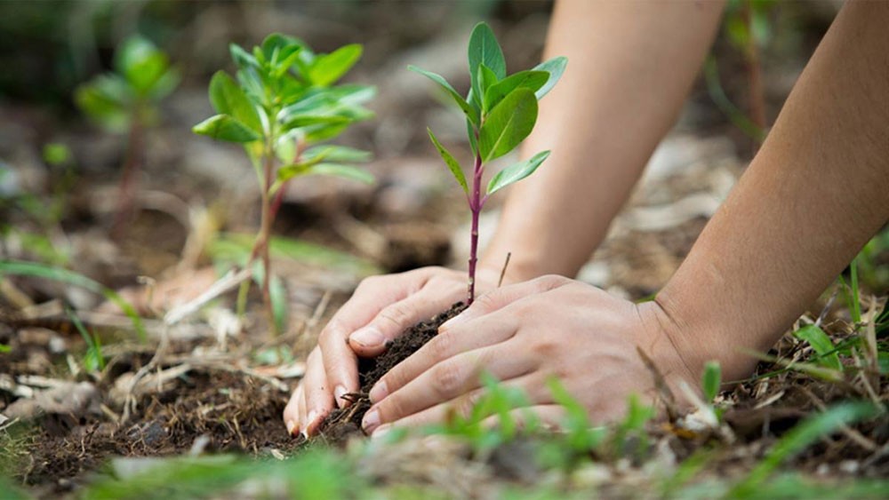 Día Mundial del Medioambiente