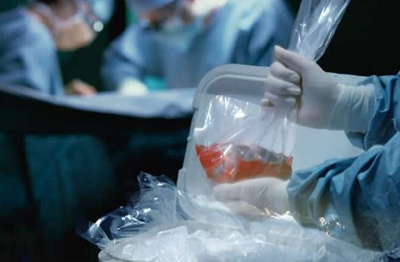Post mortem: el Senado dictaminó un proyecto que busca autorizar la donación de órganos de menores de edad