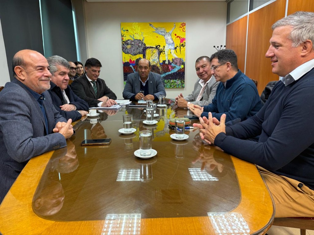 La Comisión de Cultura avanzó en el análisis de leyes para el nuevo Digesto Jurídico