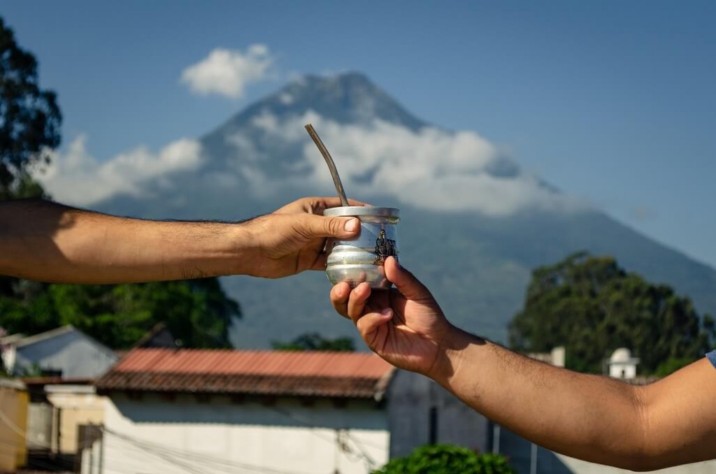Especialistas recomiendan agregar té verde al mate por sus beneficios para la salud 