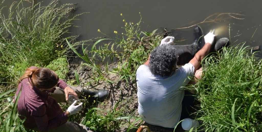 Detectan niveles toxicidad letal en arroyos de Santa Fe y Entre Ríos