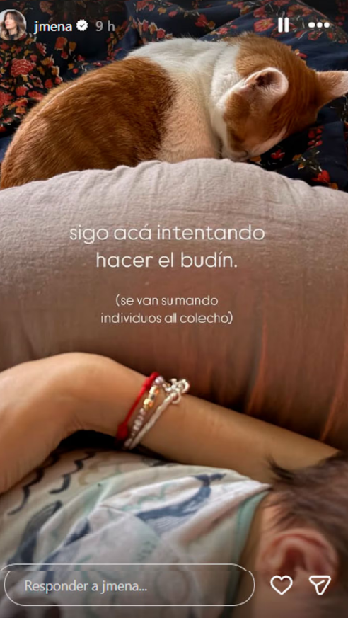 Jimena Barón subió una foto súper tierna con su bebé recién nacido y con su gatito Torino