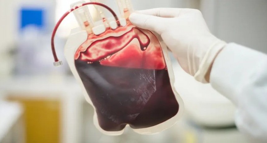 Científicos japoneses desarrollan sangre artificial apta para todos los grupos sanguíneos
