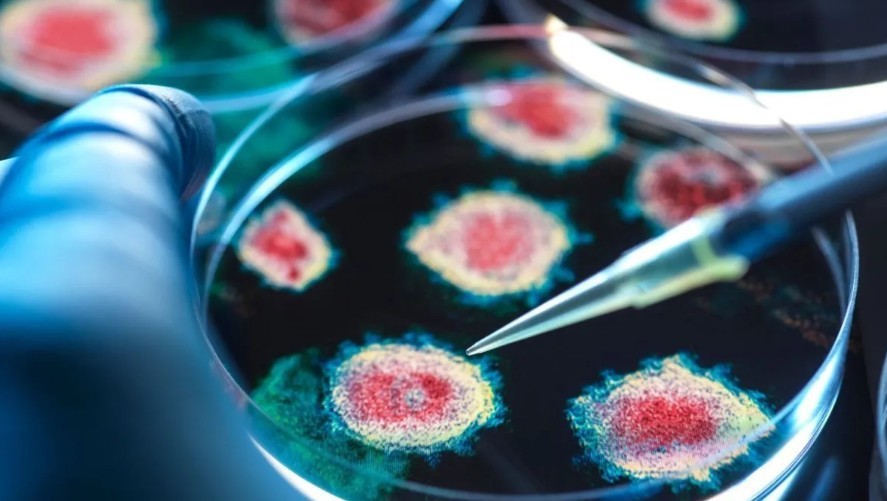 Alerta oficial por la gravedad y aumento de virus respiratorios, hepatitis y hantavirus