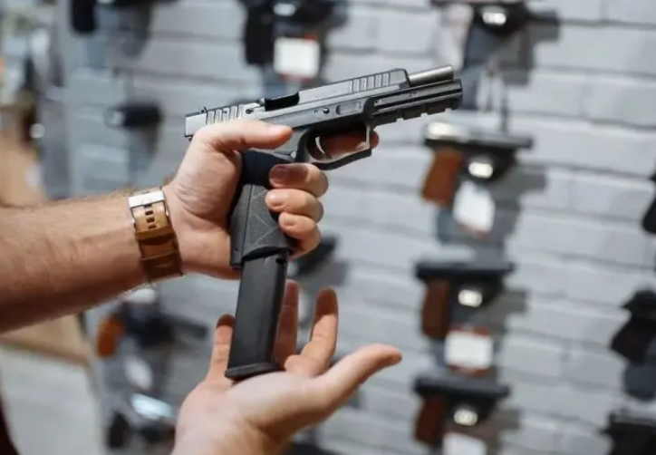 El Gobierno promulg&oacute; la ley sobre regularizaci&oacute;n y entrega voluntaria de armas