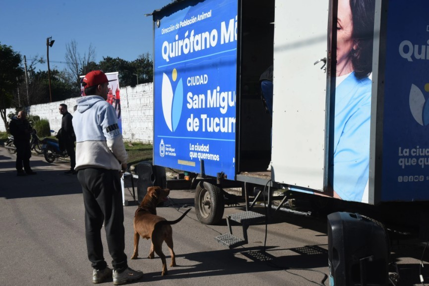D&oacute;nde se ofrecer&aacute; el servicio de esterilizaci&oacute;n para animales de compa&ntilde;&iacute;a esta semana