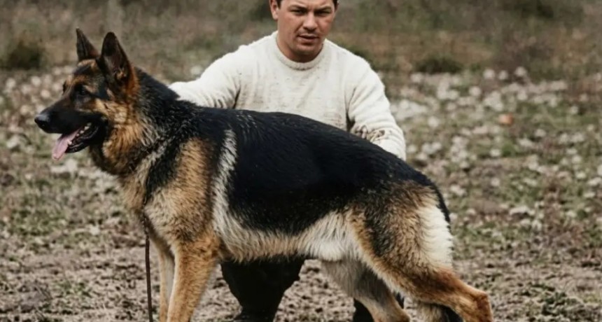 Por qu&eacute; se celebra hoy el D&iacute;a Nacional del Perro en Argentina