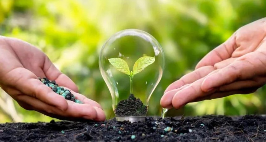 D&iacute;a mundial del medio ambiente