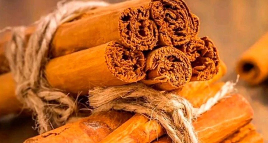 Se viene la Noche de San Juan: el ritual con canela y alcohol para limpiar energ&iacute;as y atraer abundancia