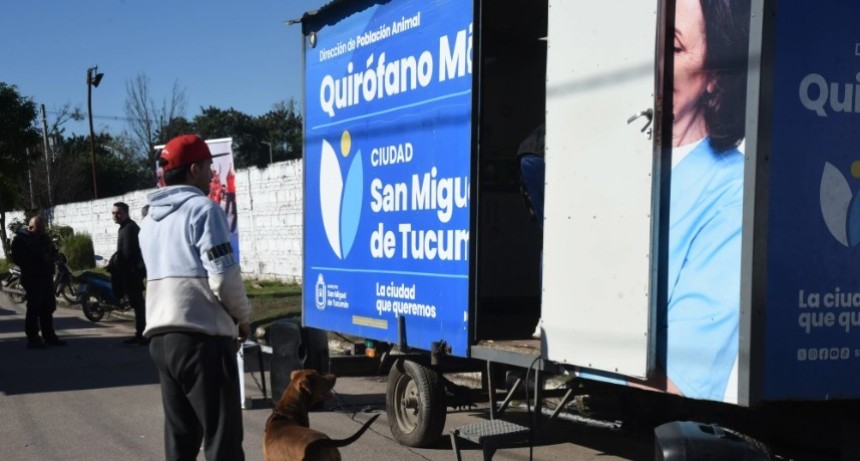 D&oacute;nde se ofrecer&aacute; el servicio de esterilizaci&oacute;n para animales de compa&ntilde;&iacute;a esta semana