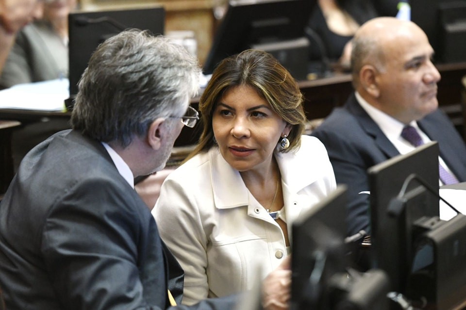Mendoza: "He acompañado los puntos que benefician a la provincia y que me pidió el Gobernador"