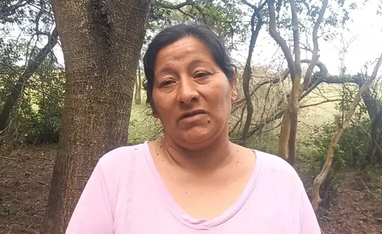 Caso Loan: Laudelina Peña fue trasladada al penal de Ezeiza