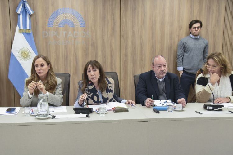 Extenso debate por salud mental: Especialistas alertaron por el incremento de suicidios en adolescentes
