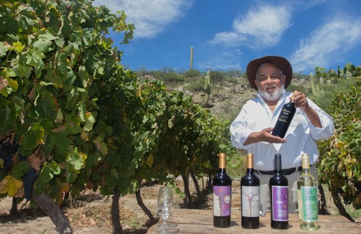 La Ruta del Vino de Altura de Tucumán presenta una imperdible agenda invernal