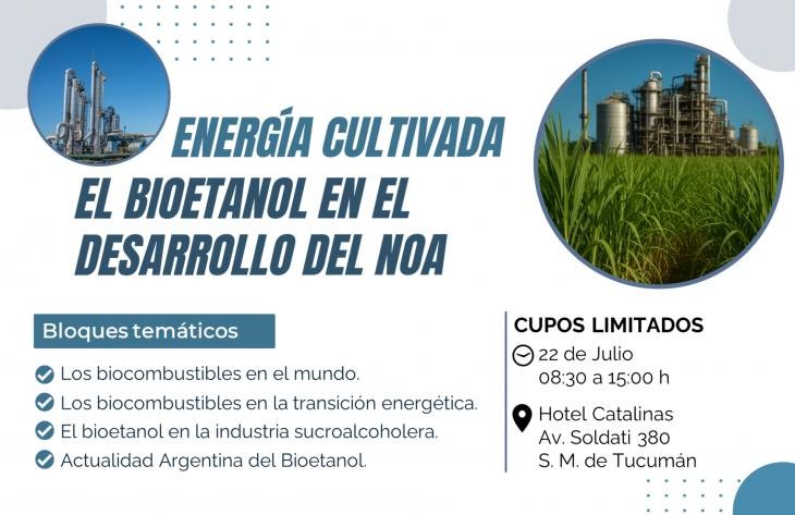 Tucumán: Cumbre regional sobre biocombustibles