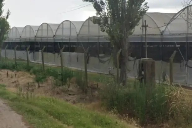 La Plata : un niño de 2 años desapareció por unas horas y fue hallado sin vida de la peor forma