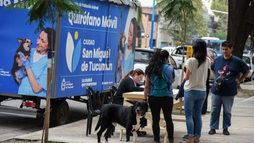 Dónde estará el quirófano móvil de castraciones de la Dirección de Población Animal del 28 de julio al 1° de agosto