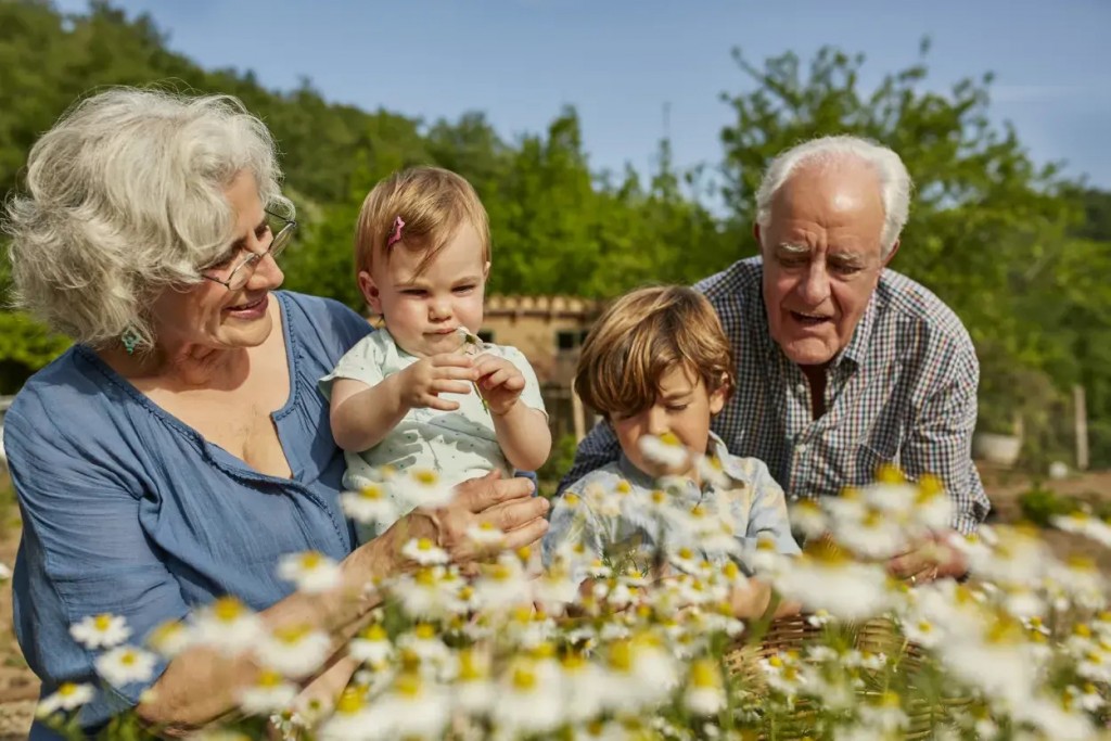 Hoy se celebrá el Día de los Abuelos