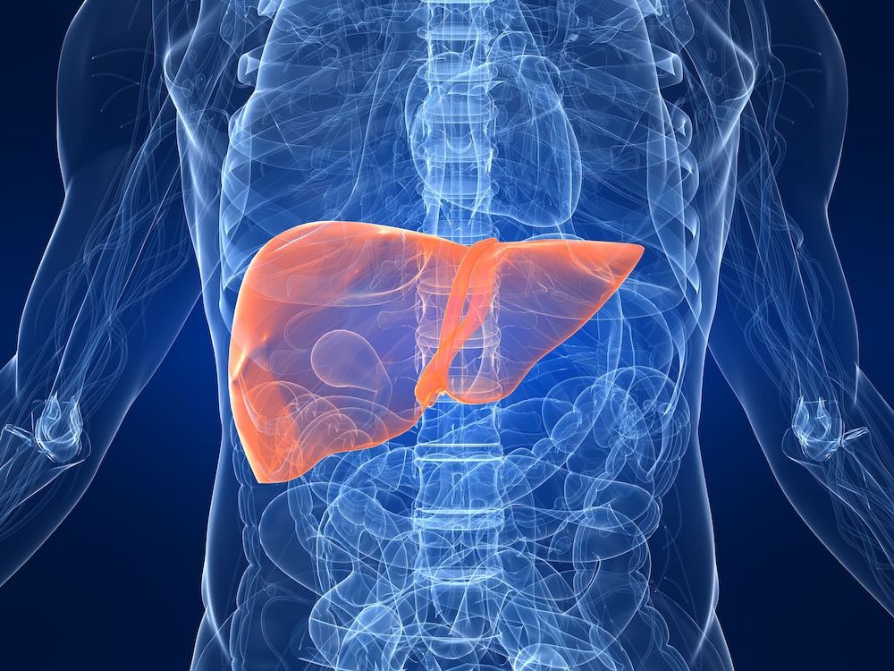 Día Mundial de la Hepatitis