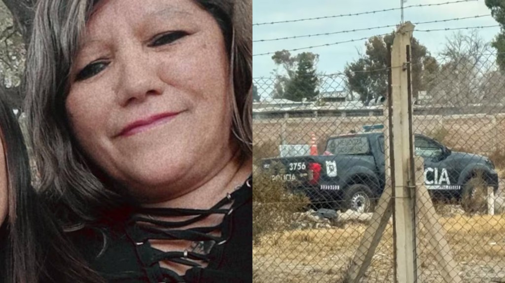 Estaba preso pero tenía permiso de salida transitoria y mató a su ex 