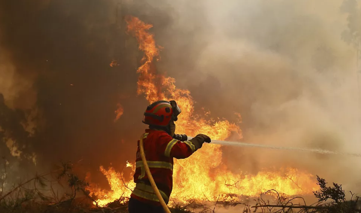 2.500 bomberos luchan contra los incendios en Portugal