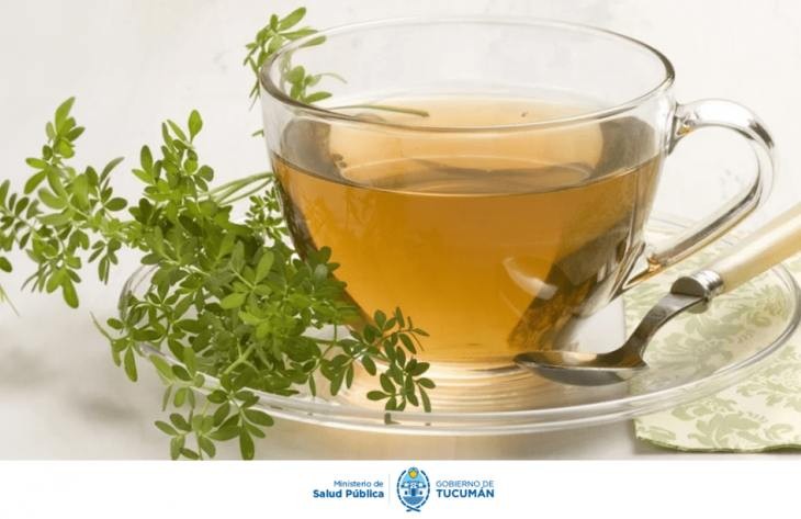 Té de Ruda: Recomendaciones y precauciones