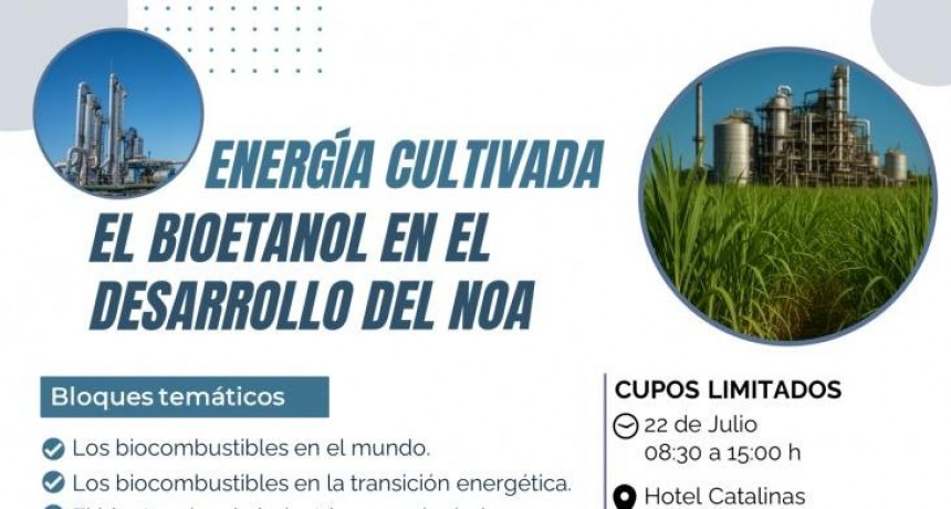 Tucumán: Cumbre regional sobre biocombustibles