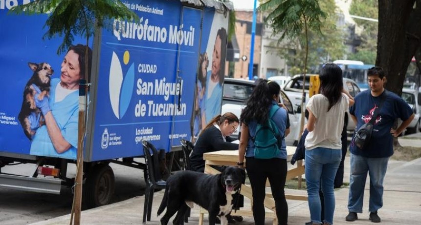 Dónde estará el quirófano móvil de castraciones de la Dirección de Población Animal la próxima semana