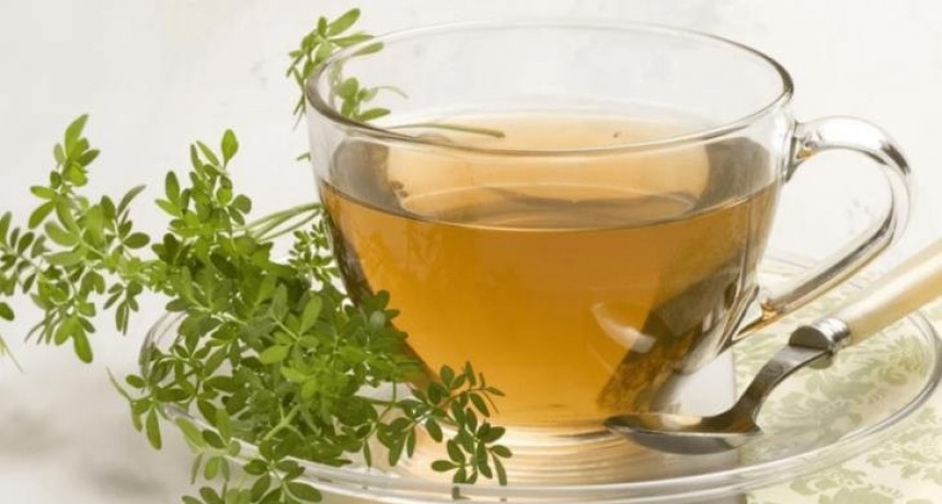 Té de Ruda: Recomendaciones y precauciones