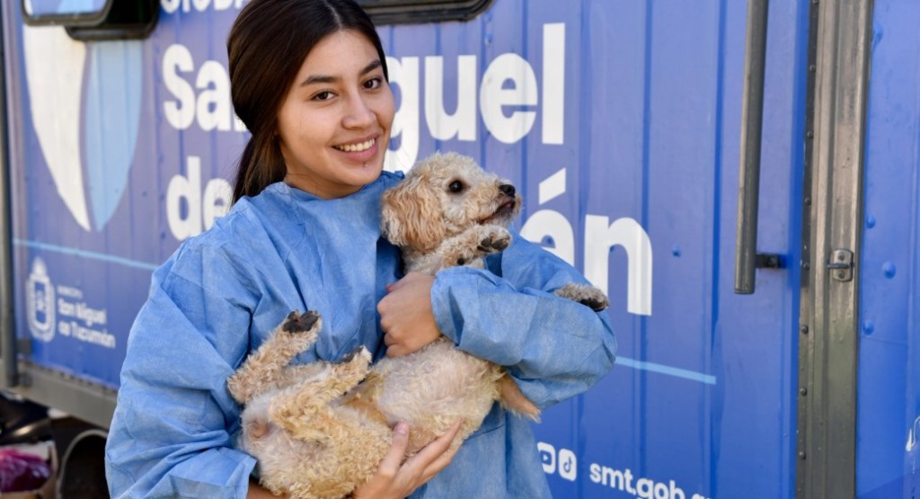 D&oacute;nde estar&aacute; el servicio gratuito de castraci&oacute;n para animales de compa&ntilde;&iacute;a esta semana