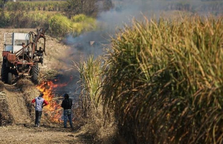La Provincia fortalece la prevenci&oacute;n de la quema de ca&ntilde;averales y asistir&aacute; a peque&ntilde;os productores