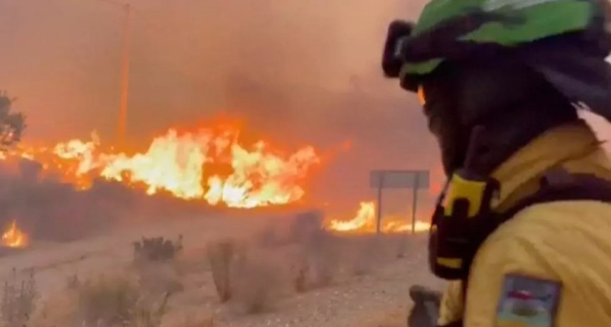 Incendio en Andaluc&iacute;a: nueve extranjeros identificados entre las 13 v&iacute;ctimas